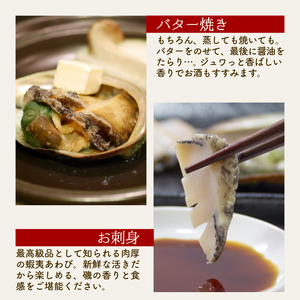 活あわび 特大サイズ 2個 約300g 冷蔵 あわび