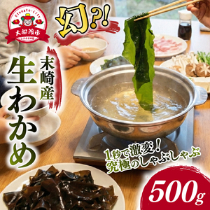 【2ヶ月間！期間限定】 生わかめ 500g