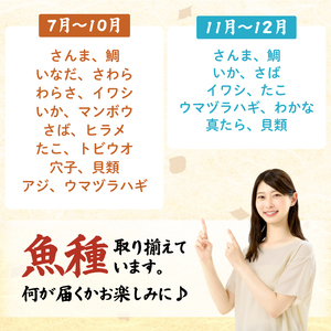 下処理あり 朝獲れ 鮮魚ボックス お試し3～4種 鮮魚