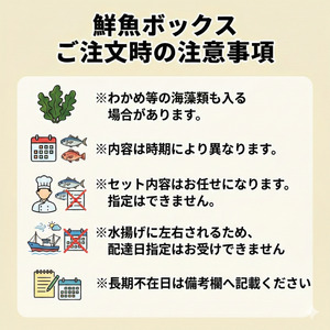 下処理あり 朝獲れ 鮮魚ボックス お試し3～4種 鮮魚