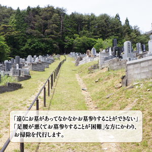 大船渡市 お墓のお掃除サービス 1回分 お盆 お彼岸 清掃 そうじ おはか お墓 墓 サービス 掃除 grave cleaning ask service instead 父 母 祖母 祖父 親戚 見守り father mother grandmother grandfather relatives 大船渡 岩手県 三陸