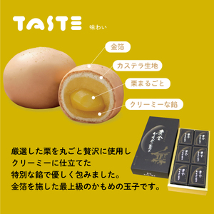 黄金かもめの玉子 6個入 お菓子 おかし 銘菓 お土産 おみやげ スイーツ 栗 くり チョコ あんこ 白あん ギフト プレゼント 贈答 さいとう製菓 岩手県 大船渡市