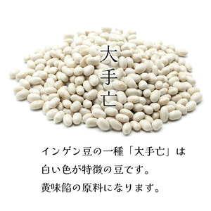 かもめの玉子 ミニ 18個入 お菓子 おかし 銘菓 お土産 おみやげ スイーツ あんこ 白あん チョコ かもめのたまご さいとう製菓 岩手県 大船渡市