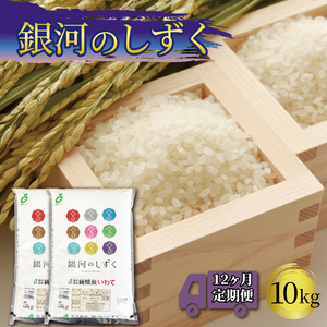 12ヶ月 定期便 米 10kg 銀河のしずく 白米 お米 1等米 精米 ご飯 朝食 昼食 夕食 国産 岩手県 大船渡市