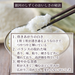 12ヶ月 定期便 米 10kg 銀河のしずく 白米 お米 1等米 精米 ご飯 朝食 昼食 夕食 国産 岩手県 大船渡市