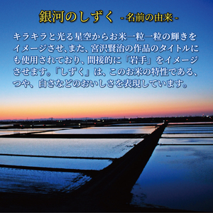 12ヶ月 定期便 米 10kg 銀河のしずく 白米 お米 1等米 精米 ご飯 朝食 昼食 夕食 国産 岩手県 大船渡市