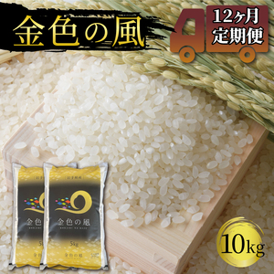 12ヶ月 定期便 米 10kg 金色の風 白米 お米 1等米 精米 ご飯 朝食 昼食 夕食 国産 岩手県 大船渡市