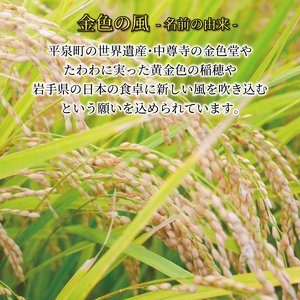 12ヶ月 定期便 米 10kg 金色の風 白米 お米 1等米 精米 ご飯 朝食 昼食 夕食 国産 岩手県 大船渡市