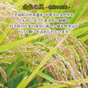 12ヶ月 定期便 米 5kg 金色の風 白米 お米 1等米 精米 ご飯 朝食 昼食 夕食 国産 岩手県 大船渡市