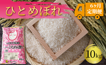 【6ヶ月定期便】岩手県産 一等米・ひとめぼれ(精米)10kg×6回
