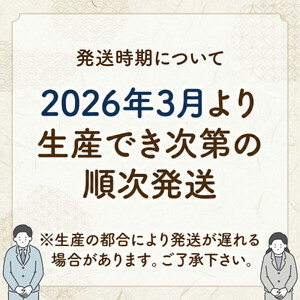 イカ唐揚げ 1kg 250g×4袋 イカ