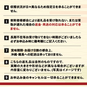 【2026年 先行予約】 生うに 150g 冷蔵 \ ウニ /
