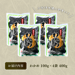 わかめ 400g 湯通し塩蔵わかめ 海鮮 海藻 魚貝類 魚介類 小分け みそ汁 スープ 酢の物 三陸産 岩手県 大船渡市
