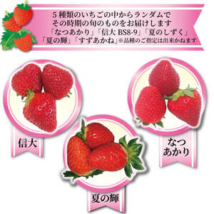 いちご 2種 400g (200g×2) 6~12月お届け フルーツ 果物 苺 イチゴ 