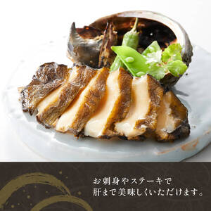 天然 エゾアワビ 500g 冷凍 鮑 蝦夷あわび あわび アワビ 鮑 Abalone ステーキ バターソテー 正月 お正月 おせち 刺し身 刺身 バーベキュー BBQ ごはん 夕飯 おかず おつまみ 晩酌 米 丼 海産物 海鮮 魚介 魚介類 贈答品 お中元 お歳暮 大船渡 三陸 岩手県 国産