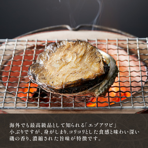 天然 エゾアワビ 1kg 冷凍 鮑 蝦夷あわび あわび アワビ 鮑 Abalone ステーキ バターソテー 正月 お正月 おせち 刺し身 刺身 バーベキュー BBQ ごはん 夕飯 おかず おつまみ 晩酌 米 丼 海産物 海鮮 魚介 魚介類 贈答品 お中元 お歳暮 大船渡 三陸 岩手県 国産