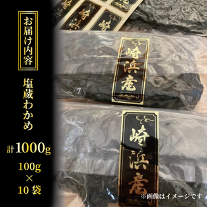 塩蔵わかめ 1kg 100g×10袋 わかめ 海鮮 海藻 魚貝類 魚介類 小分け みそ汁 スープ 酢の物 三陸産 岩手県 大船渡市