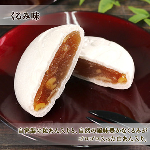 碁石もなか 10個 つぶあん 5個 くるみ 5個 最中 和菓子 わがし おやつ お菓子 食べ比べ 手土産 お菓子 小豆 あんこ 岩手県 大船渡市