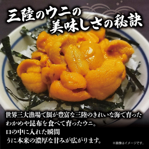 半生うに 100g 冷凍 雲丹 寿司 キタムラサキウニ 小分け ウニ丼 うに ウニ 雲丹 寿司 Sea urchin ごはん 夕飯 おかず おつまみ 晩酌 米 丼 海産物 海鮮 魚介 魚介類 大船渡 三陸 岩手県 国産