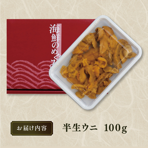 半生うに 100g 冷凍 雲丹 寿司 キタムラサキウニ 小分け ウニ丼 うに ウニ 雲丹 寿司 Sea urchin ごはん 夕飯 おかず おつまみ 晩酌 米 丼 海産物 海鮮 魚介 魚介類 大船渡 三陸 岩手県 国産