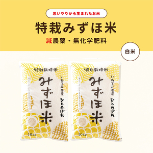 特別栽培みずほ米 ひとめぼれ 白米 20kg（10kg×2袋）  【1752】