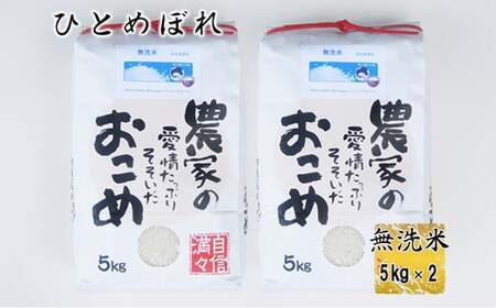 ひとめぼれ無洗米10kg(5kg x2個入れ） 【1815】 24,500円