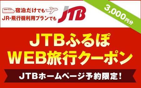 【花巻市】JTBふるぽWEB旅行クーポン（3,000円分）【1851-1】