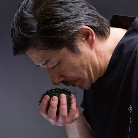 【最短翌日発送】綾鷹650mlペットボトル 24本セット 【1874】