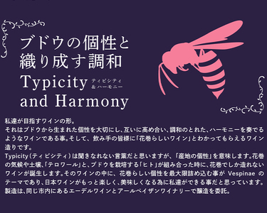 Vespinae(ベスピナエ) 2023 岩手ソーヴィニヨンブラン 750ml×1本 【1970】