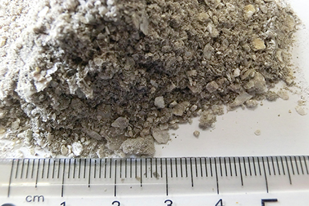 有機カキ殻土壌改良材「カキ殻くん」15kg×2袋【有機JAS表A.1適合資材】 【1989】