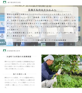 「早池峰の恵み」モリタワイン カベルネ・ソーヴィニヨン2021 ダム貯蔵ワイン ミディアムボディ 辛口　750ml×1本 【2110】
