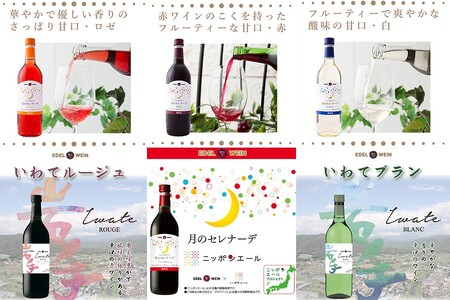 エーデルワイン アソート6本セット 720ml×6本 赤 白 ロゼ 【2155】