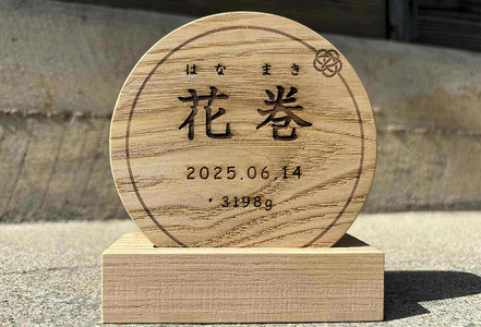 「はじめまして」の贈りもの。誕生を祝う、栗の木の命名書【2131】