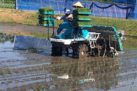 岩手県産ひとめぼれ　5kg【2260】