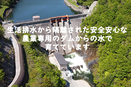 【令和7年産】銀河のしずく 厳選プレミアム 玄米2kg【2231】