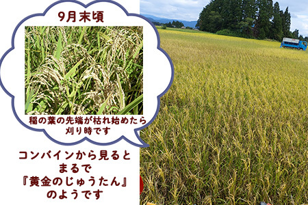 【令和7年産】銀河のしずく 厳選プレミアム　玄米5kg【2232】
