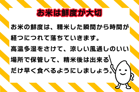 令和7年産 花巻産 ひとめぼれ 10㎏（5kg×2袋）【2225】