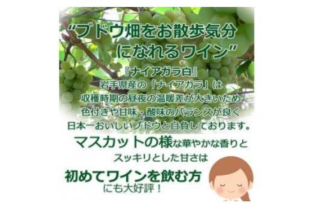 岩手県花巻産 甘口飲み比べエーデルワイン厳選４本セット 【386】