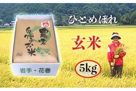 ≪令和5年産 新米≫ 減農薬栽培 岩手花巻産ひとめぼれ玄米５kg 【509