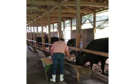 花巻黒ぶだう牛 サーロインステーキ用 【512】