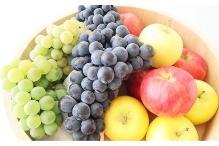 ぶどう農家の果汁100％ストレートジュース（りんご、ぶどう、コラボ） 3種類6本（720ml）セット 【554】
