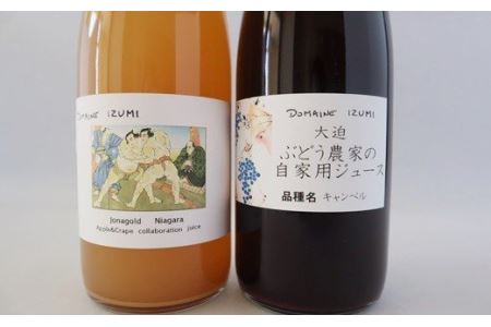 ぶどう農家の果汁100％ストレートジュース！ぶどうジュース・コラボジュース　2本（720ml）セット 【556】