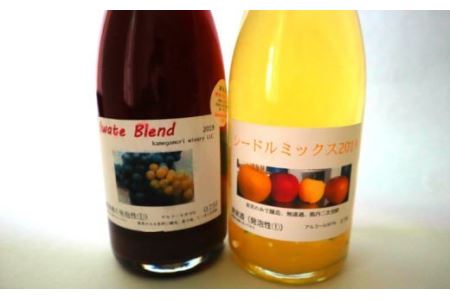 岩手ブレンド・シードルミックス 2本（750ml）セット 【559】