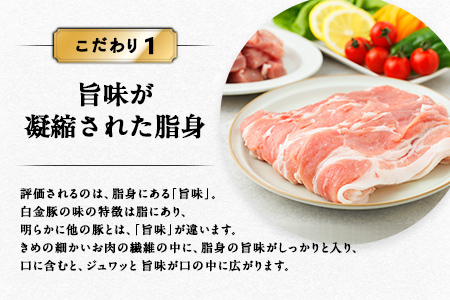 聞き書　ふるさとの家庭料理　全巻セット 聞き書ふるさとの家庭料理 (7) | 農山漁村文化協会 |本 | 通販