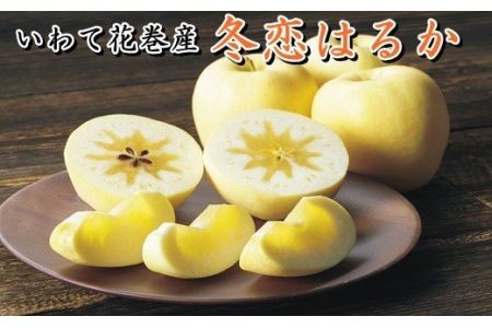 【数量・季節限定】岩手が生んだ究極のりんご『冬恋はるか』2.5kg　≪予約受付≫【570】