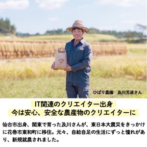【無農薬】合鴨農法で育てたひばり農園の玄米（りくう132号） ５kg 【583】