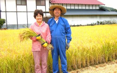 減農薬栽培 ひとめぼれ 無洗米 5kg 定期便 3ヶ月 【712】