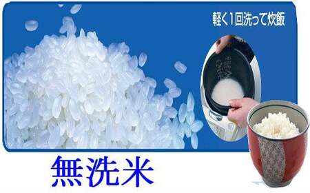 減農薬栽培 ひとめぼれ 無洗米 5kg 定期便 3ヶ月 【712】