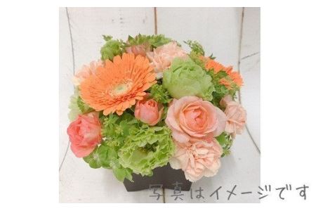 お花の定期便 フラワーアレンジメント 12ヶ月連続届く 【760】