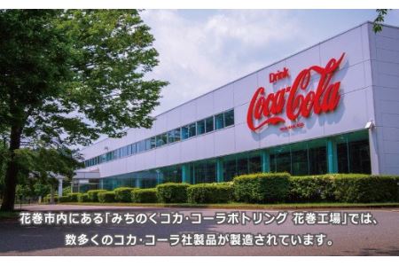 コカ・コーラ 350mlペットボトル×24本 【844】